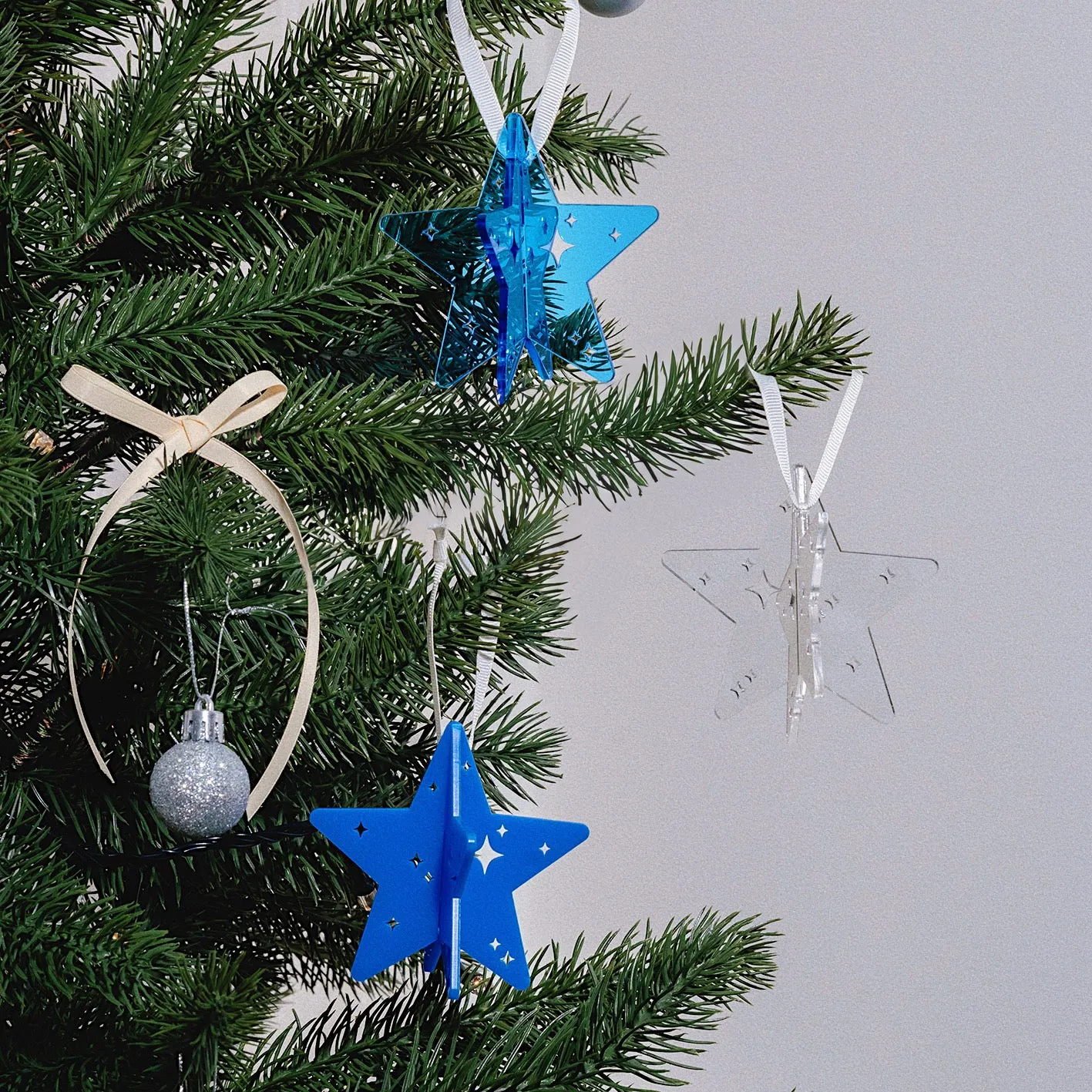 Acrylic Ornament